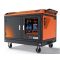 Генератор бензиновый 6 кВт GENERGY GUARDIAN S6-SOL