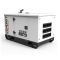 Генератор дизельный 8 кВт GENERGY GDS10M