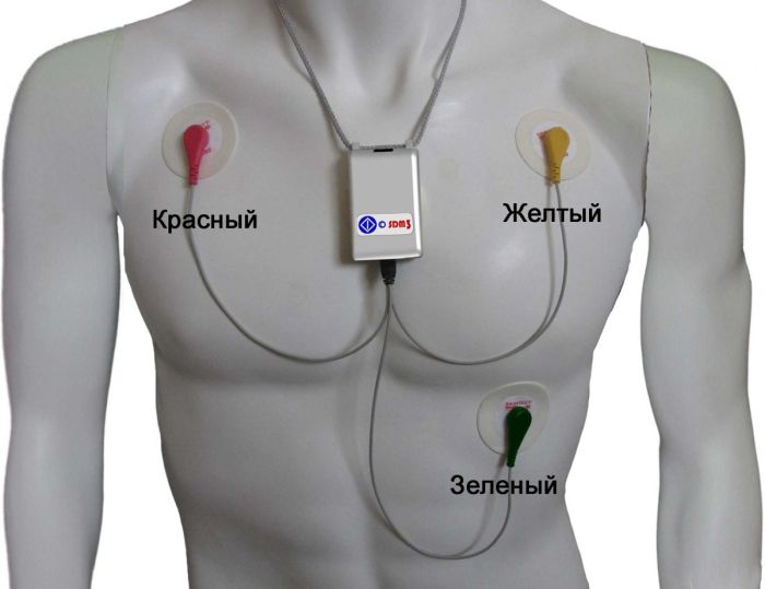 Холтер ЕКГ SDM3